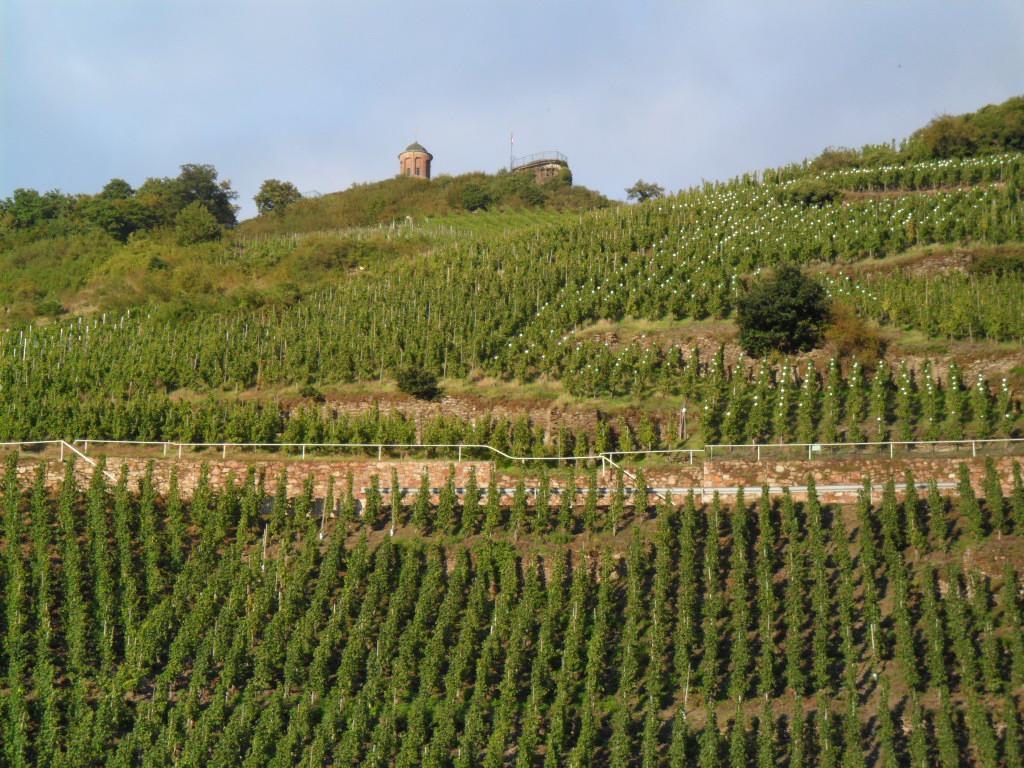 Pension Adelheid Moselhype&Wine Zell an der Mosel Exterior photo