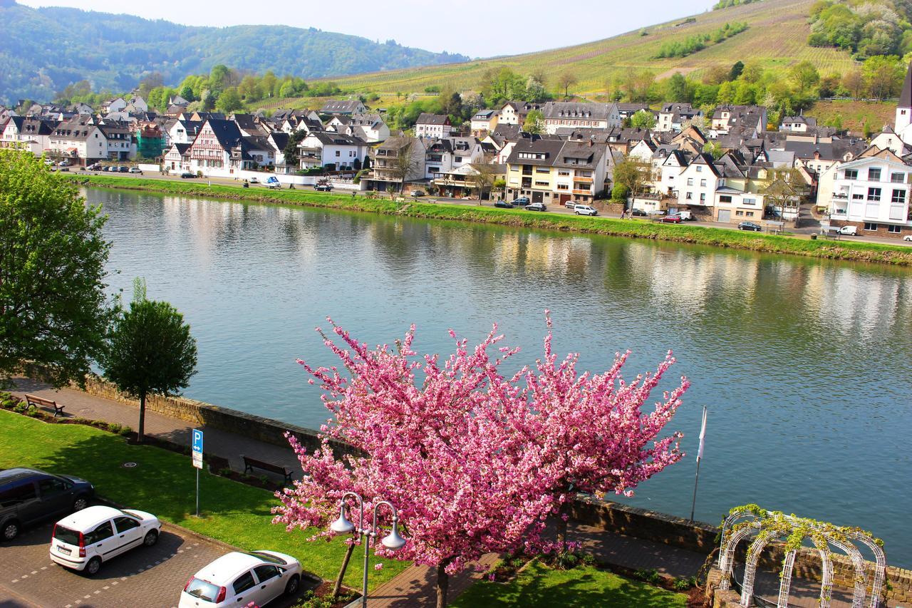 Pension Adelheid Moselhype&Wine Zell an der Mosel Exterior photo